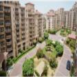 Semi Furnished 3300 Sqft Residential Apartment  Space For Sale In Beverly Park 2 DLF City Phase 2 Gurgaon 4 BHK  Sale DLF PHASE II Gurgaon